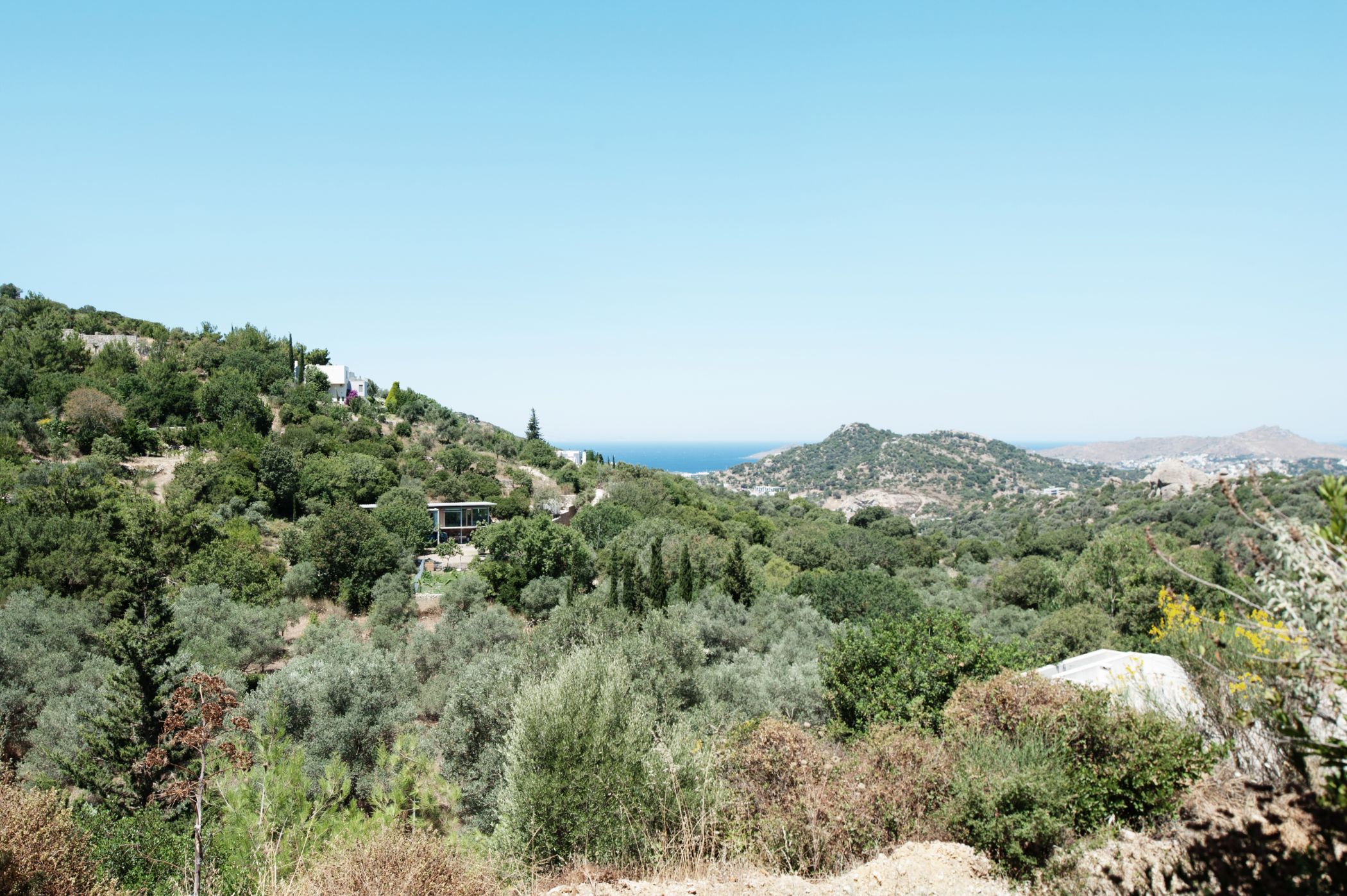 Labor Olivia Dsc0915