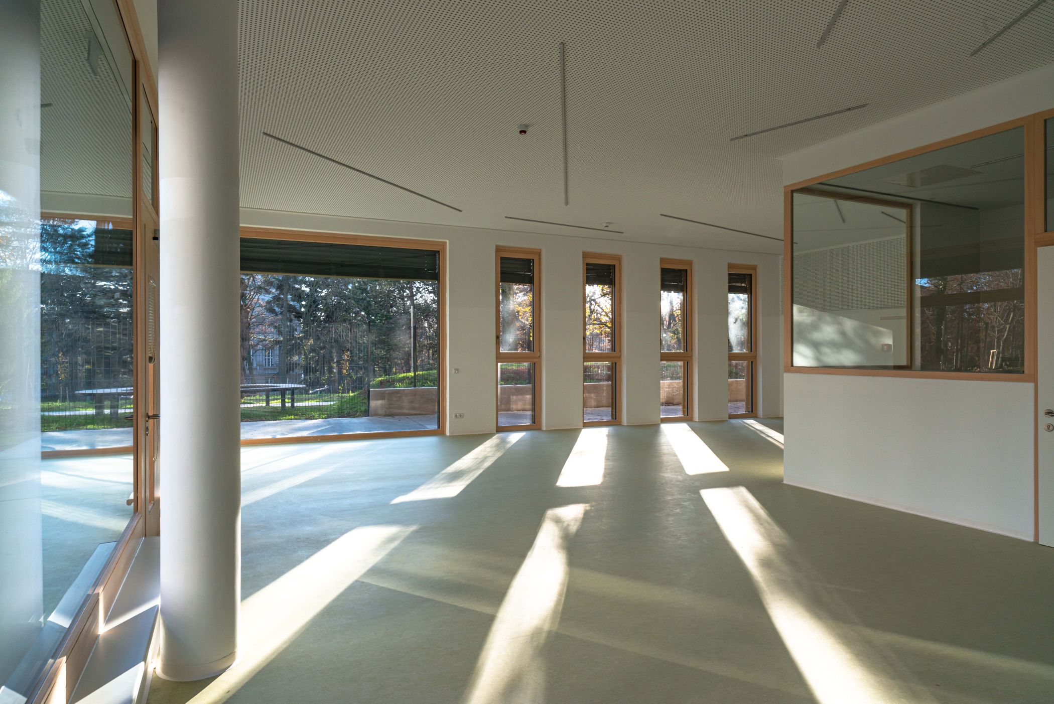 Fotocannablau 20221125 0619