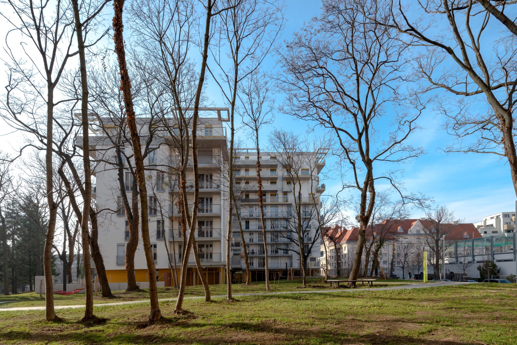 Fotocannablau 20230222 1010