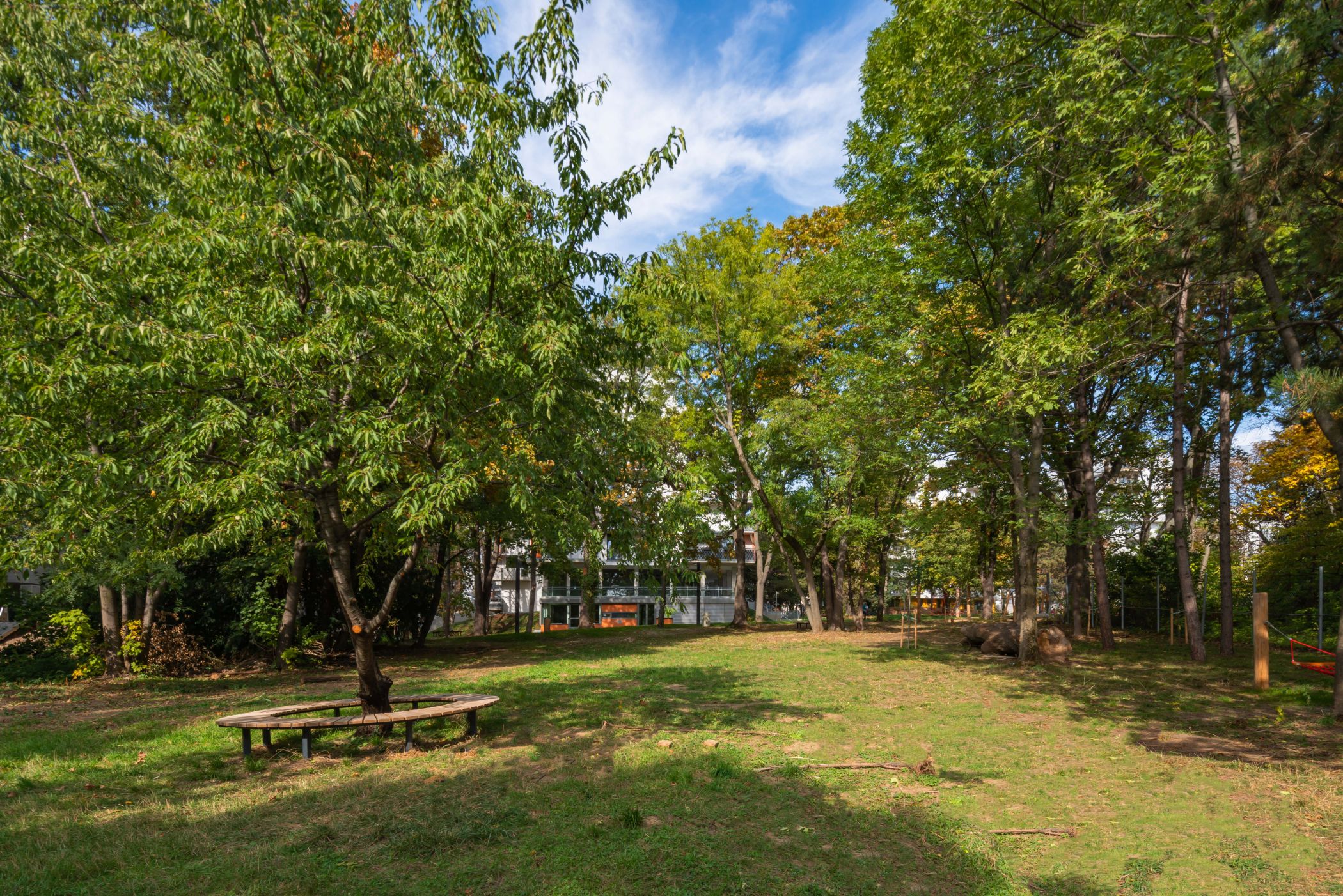 Fotocannablau 20221124 0408