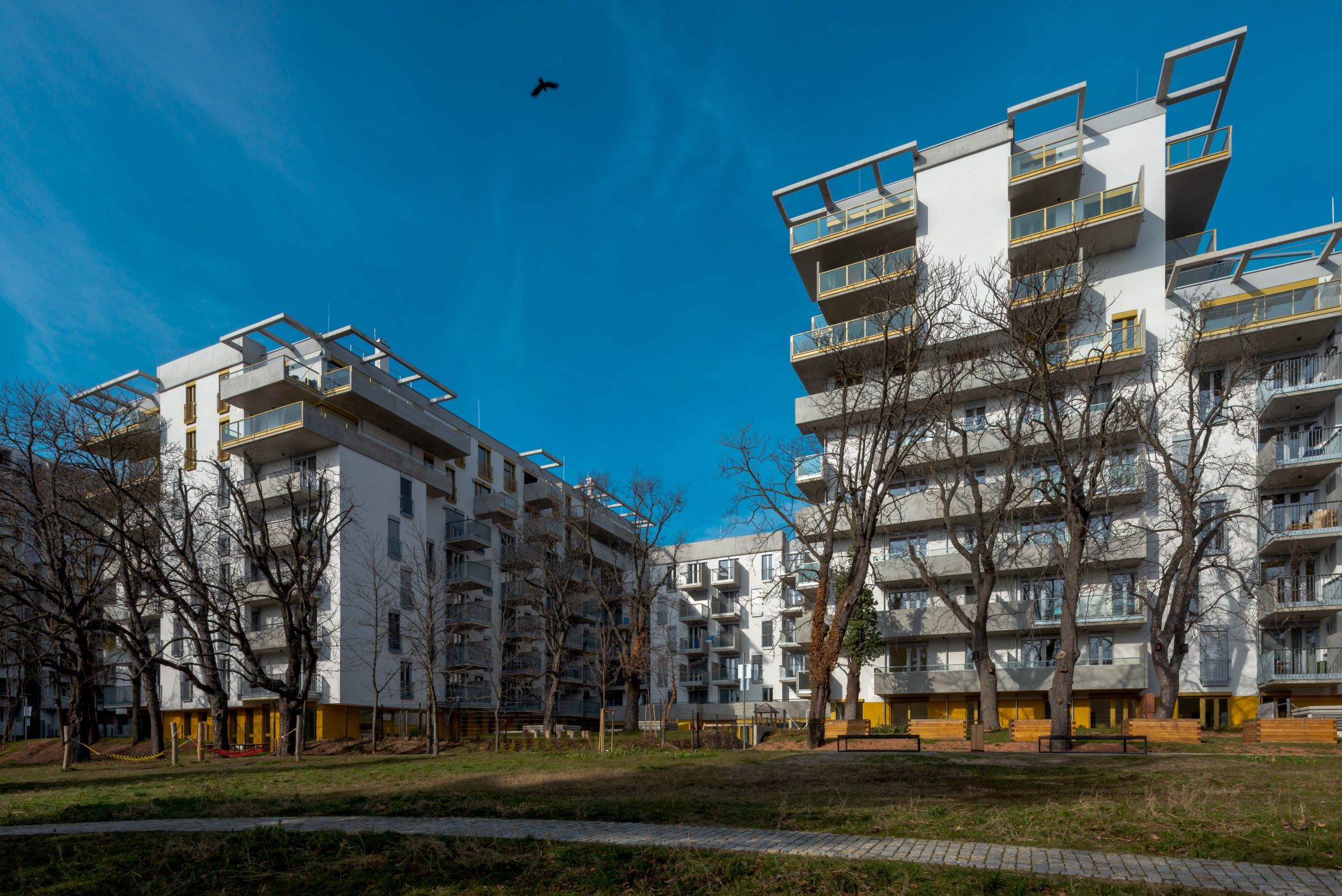 Fotocannablau 20230222 1009