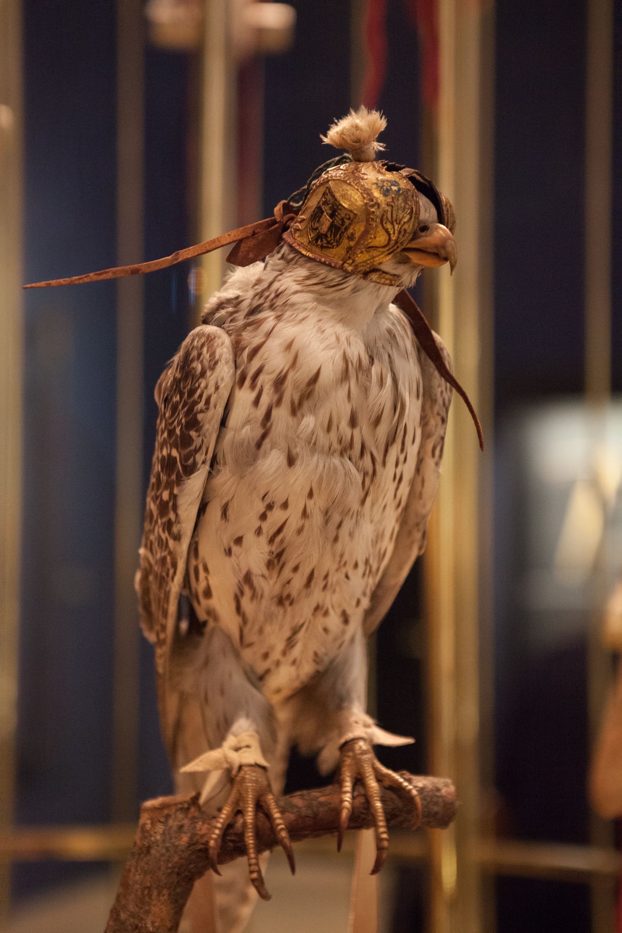 Neueburg Undercover Milli