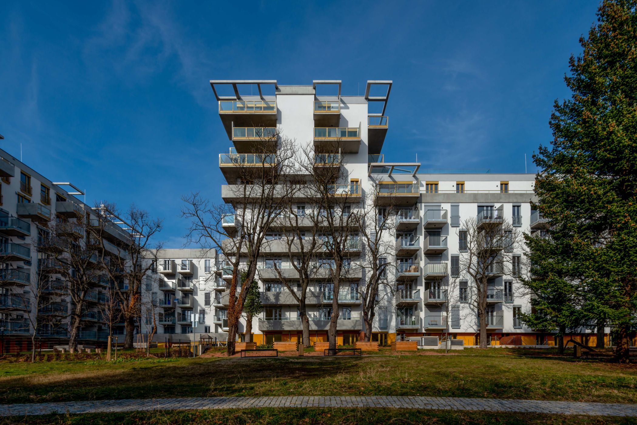 Fotocannablau 20230222 1008